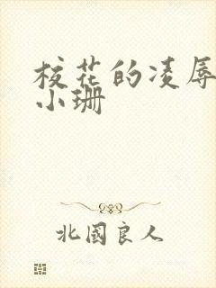 校花的凌辱日记小珊