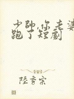 少帅,你老婆又跑了短剧