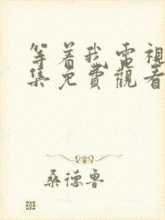 等着我电视剧全集免费观看