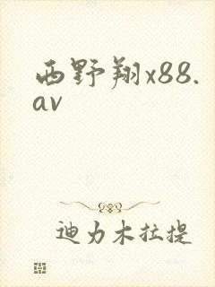 西野翔x88.av
