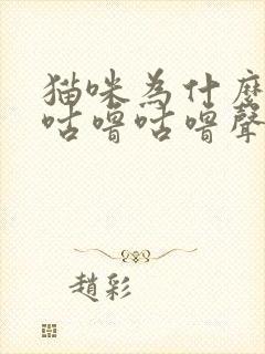 猫咪为什么发出咕噜咕噜声音