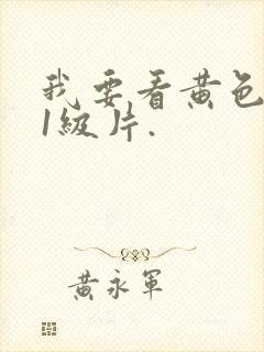 我要看黄色录像1级片.封面