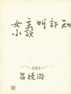 女主叫许知意的小说