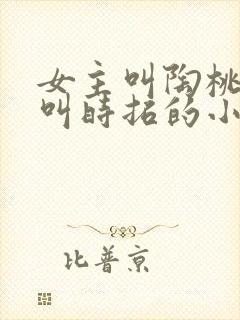 女主叫陶桃男主叫时拓的小说
