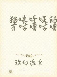 猫咪呼吸的时候有咕噜咕噜的声音封面