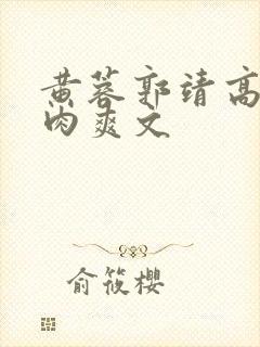 黄蓉郭靖高h纯肉爽文