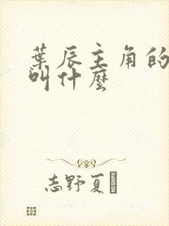 叶辰主角的小说叫什么