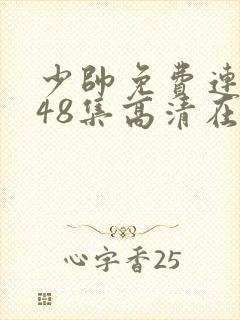 少帅免费连续剧48集高清在线观看封面