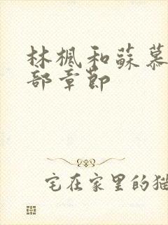 林枫和苏慕白全部章节