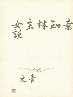 女主林知意的小说封面