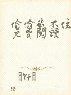 偷偷藏不住原文免费阅读