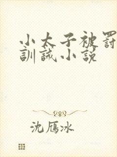 小太子被罚公开训诫小说