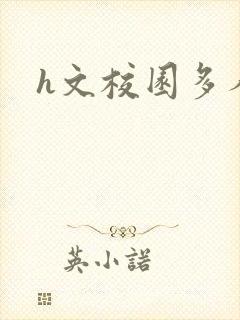 h文校园多人