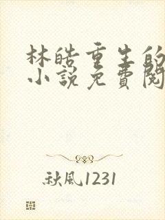 林皓重生的官场小说免费阅读