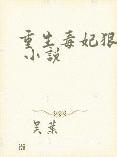 重生毒妃狠绝色 小说封面