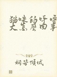 猫咪的呼噜声很大怎么回事