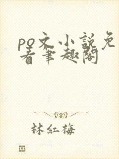 po文小说免费看笔趣阁