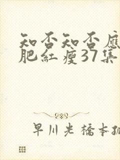 知否知否应是绿肥红瘦37集