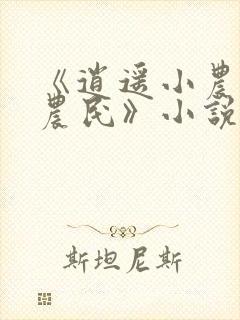 《逍遥小农夫小农民》小说阅读