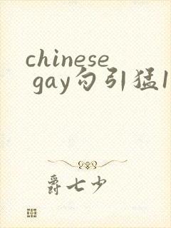 chinese gay勾引猛1videos封面