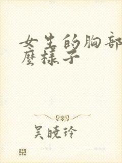 女生的胸部长什么样子