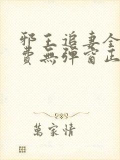 邪王追妻全文免费无弹窗正版