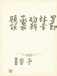 顾承昀林星禾小说最新章节免费阅读封面