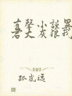 有声小说异世邪君大灰狼我爱听书网