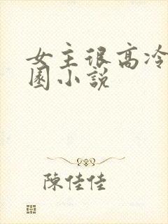 女主很高冷的校园小说封面