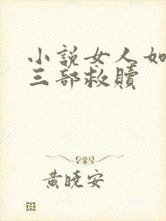 小说女人如雾第三部救赎封面