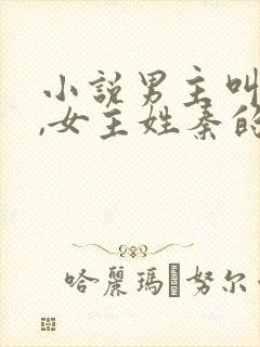 小说男主叫沈宴,女主姓秦的小说