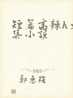 短篇高辣h文合集小说封面