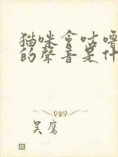 猫咪会咕噜咕噜的声音是什么意思封面