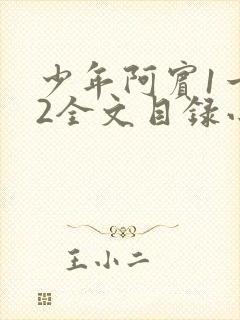 少年阿宾1一72全文目录小说