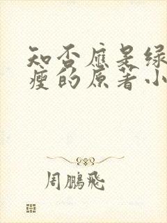 知否应是绿肥红瘦的原著小说听书