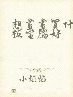 想画画买什么平板电脑好