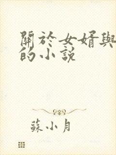 关于女婿与岳母的小说