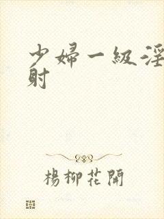 少妇一级淫片内射