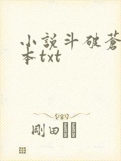 小说斗破苍穹完本txt