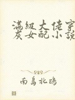 满级大佬穿成炮灰女配小说封面