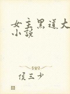 女主黑道大佬的小说封面