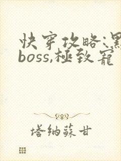 快穿攻略:黑化boss,极致宠
