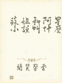 苏姐和阿星原著小说叫什么