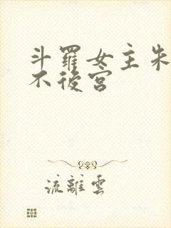 斗罗女主朱竹清不后宫