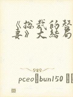 《总裁的替身前妻》大结局