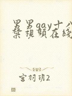 男男gay十八禁视频在线观看