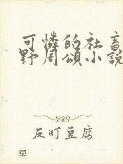 可怜的社畜 商野周颂小说