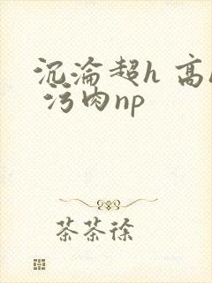 沉沦超h 高h 污肉np
