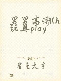 男男高潮(h)玩具play