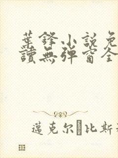 叶锋小说免费阅读无弹窗全文